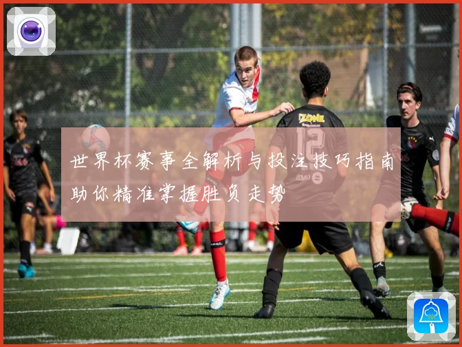 世界杯赛事全解析与投注技巧指南助你精准掌握胜负走势