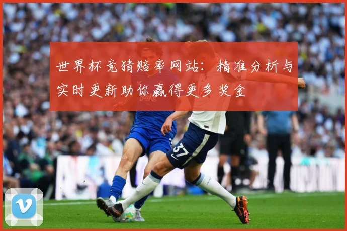 世界杯竞猜赔率网站：精准分析与实时更新助你赢得更多奖金