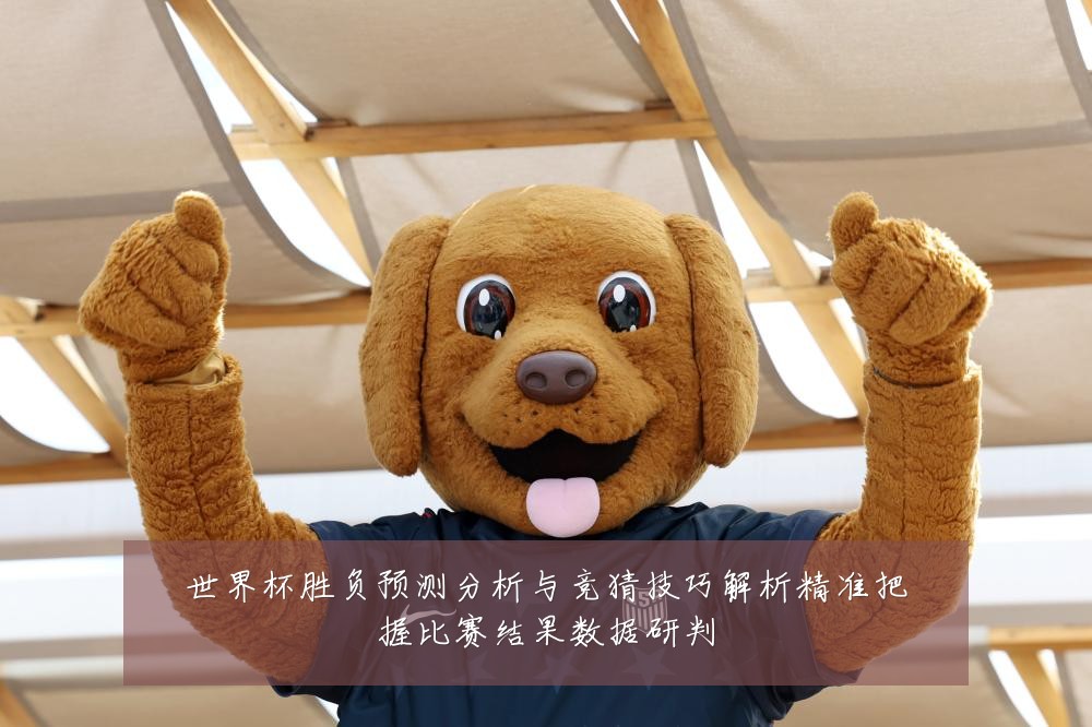 世界杯胜负预测分析与竞猜技巧解析精准把握比赛结果数据研判