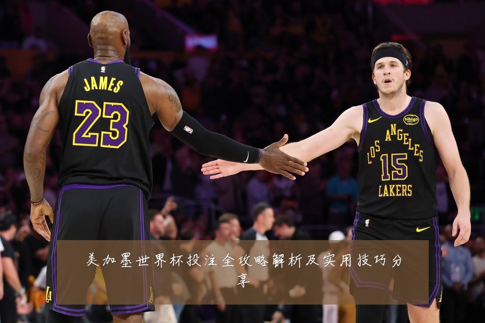 美加墨世界杯投注全攻略解析及实用技巧分享