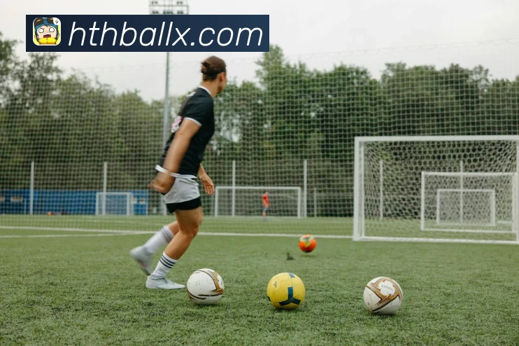 华体会平台展示图