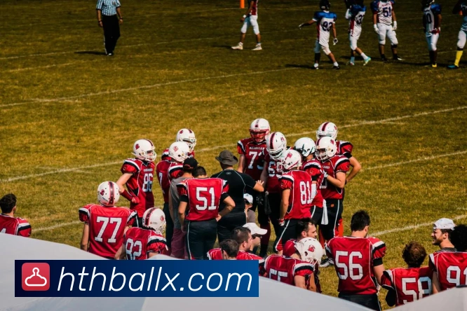 华体会官网全站App